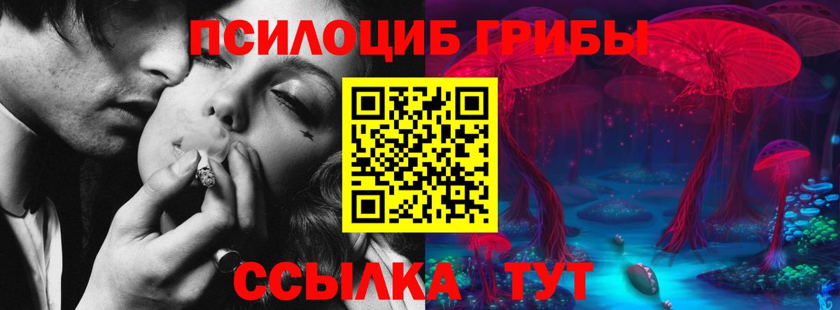где можно купить   Псилоцибиновые грибы Psilocybine cubensis  Вход с VPN  Гулькевичи 